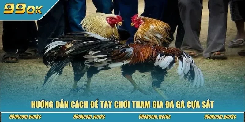Hướng dẫn cách để tay chơi tham gia đá gà cựa sắt